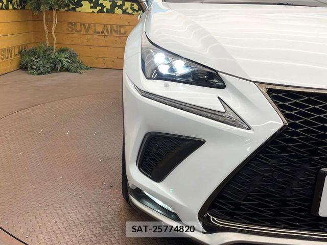 Lexus NX 2019-09 7979769-11