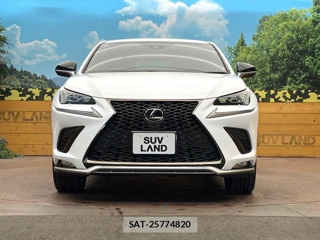 Lexus NX 2019-09 7979769-13