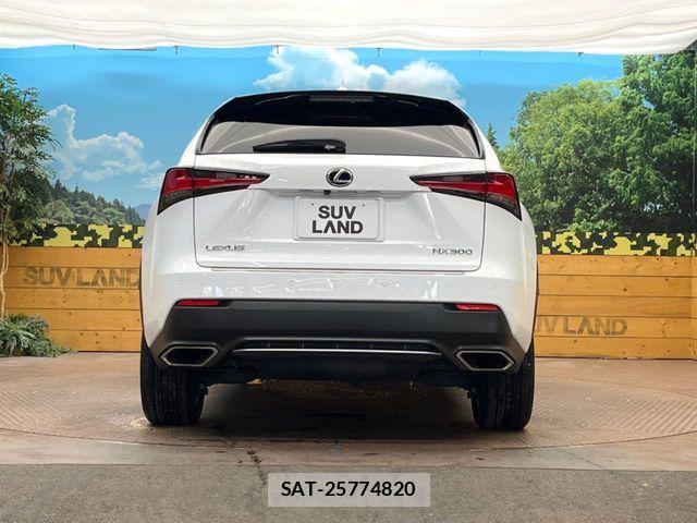 Lexus NX 2019-09 7979769-14
