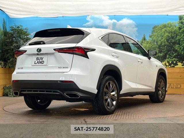 Lexus NX 2019-09 7979769-16