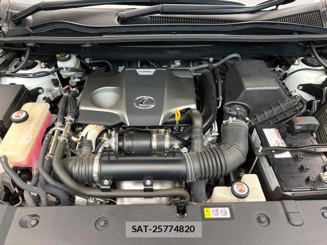 Lexus NX 2019-09 7979769-17