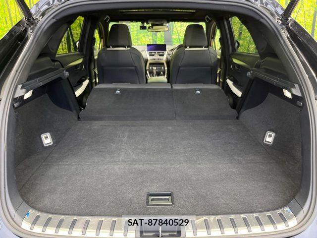 Lexus NX 2018-03 8036449-10