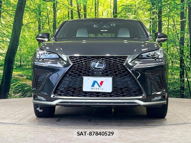 Lexus NX 2018-03 8036449-14