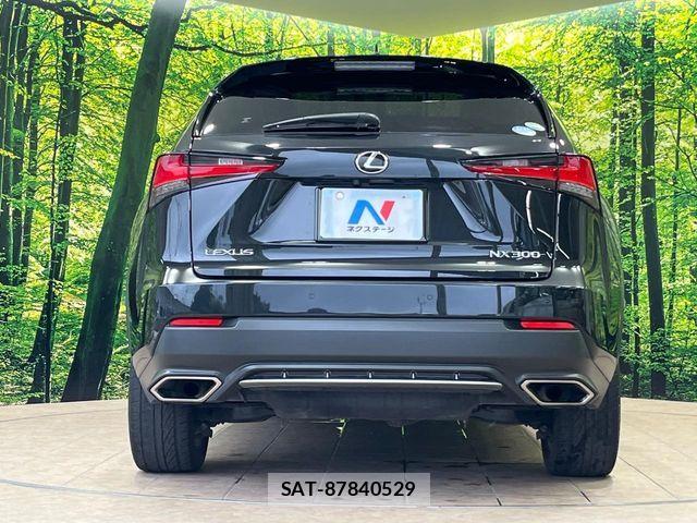 Lexus NX 2018-03 8036449-15
