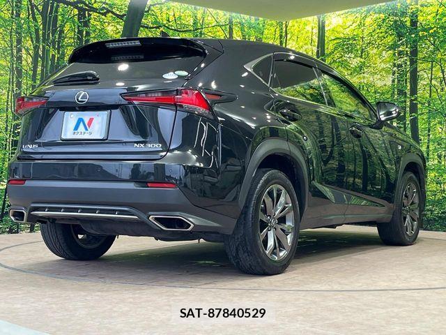 Lexus NX 2018-03 8036449-17