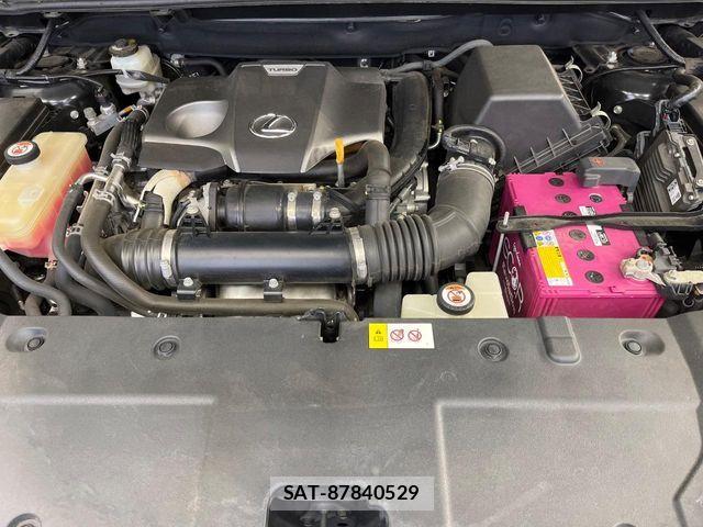 Lexus NX 2018-03 8036449-18