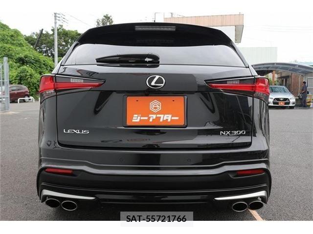 Lexus NX 2021-05 8036448-9
