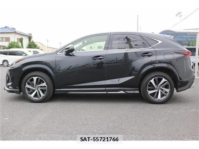 Lexus NX 2021-05 8036448-10