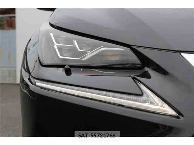 Lexus NX 2021-05 8036448-11