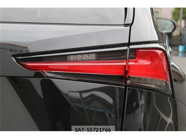 Lexus NX 2021-05 8036448-12