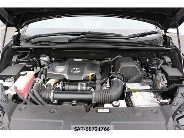 Lexus NX 2021-05 8036448-19