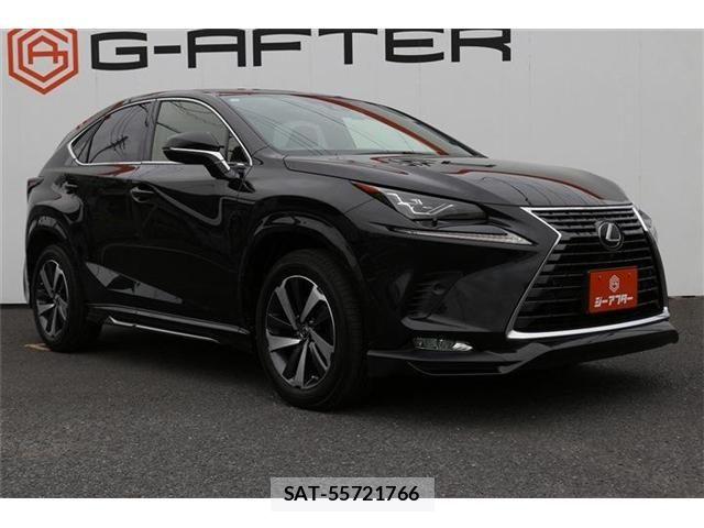 Lexus NX 2021-05 8036448-20