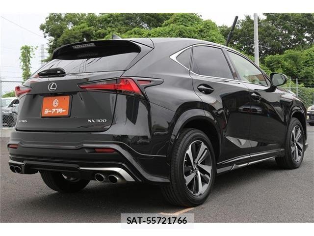 Lexus NX 2021-05 8036448-21