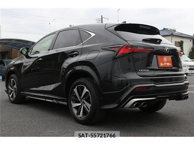 Lexus NX 2021-05 8036448-22