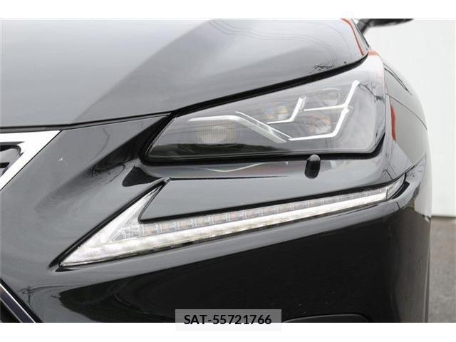 Lexus NX 2021-05 8036448-24