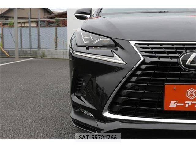 Lexus NX 2021-05 8036448-25