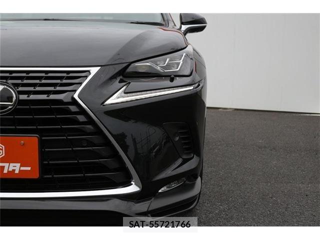 Lexus NX 2021-05 8036448-26