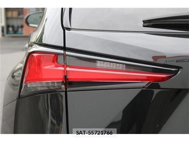 Lexus NX 2021-05 8036448-29