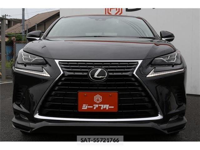Lexus NX 2021-05 8036448-7