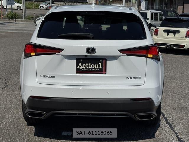 Lexus NX 2017-09 8074356-4