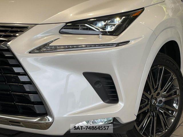 Lexus NX 2018-02 8074355-11