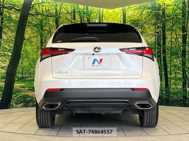 Lexus NX 2018-02 8074355-14