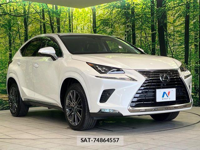 Lexus NX 2018-02 8074355-15