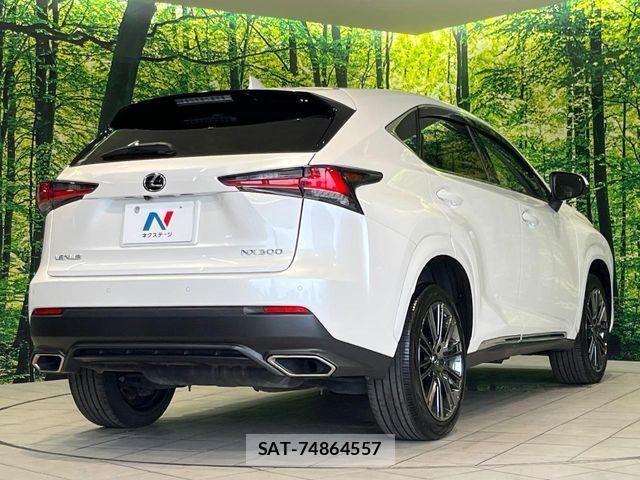Lexus NX 2018-02 8074355-16