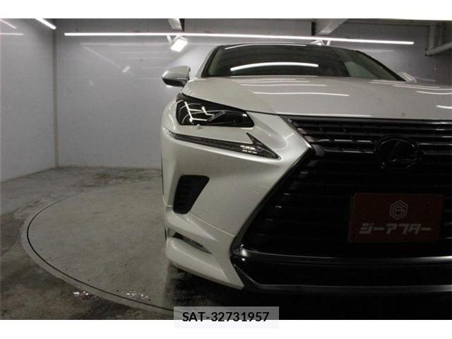 Lexus NX 2018-07 8074354-10