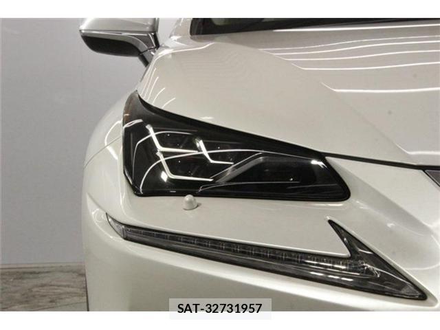 Lexus NX 2018-07 8074354-11