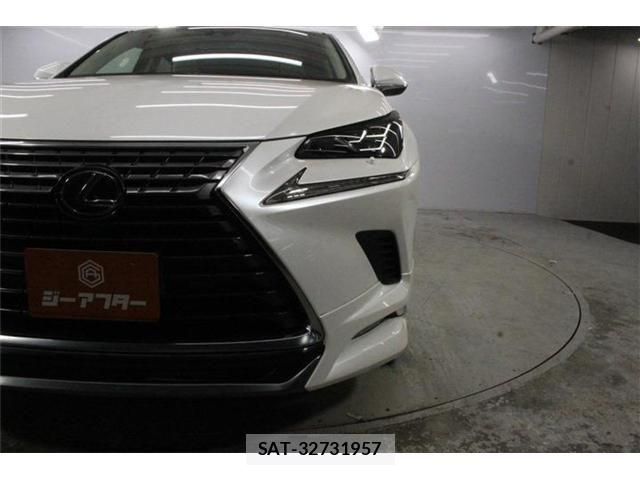 Lexus NX 2018-07 8074354-13