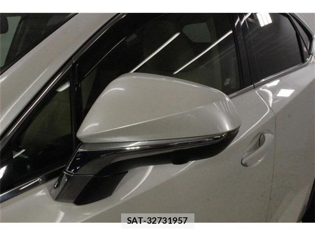 Lexus NX 2018-07 8074354-16