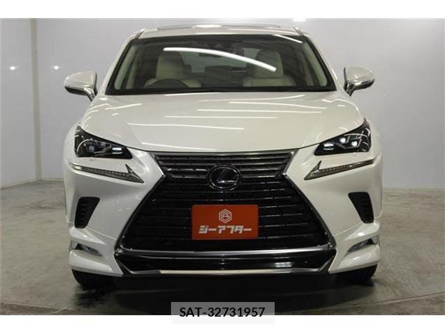 Lexus NX 2018-07 8074354-1