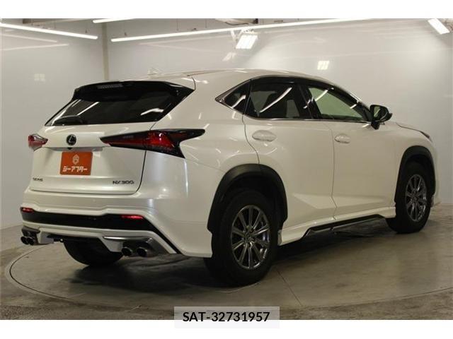 Lexus NX 2018-07 8074354-4