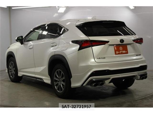 Lexus NX 2018-07 8074354-6