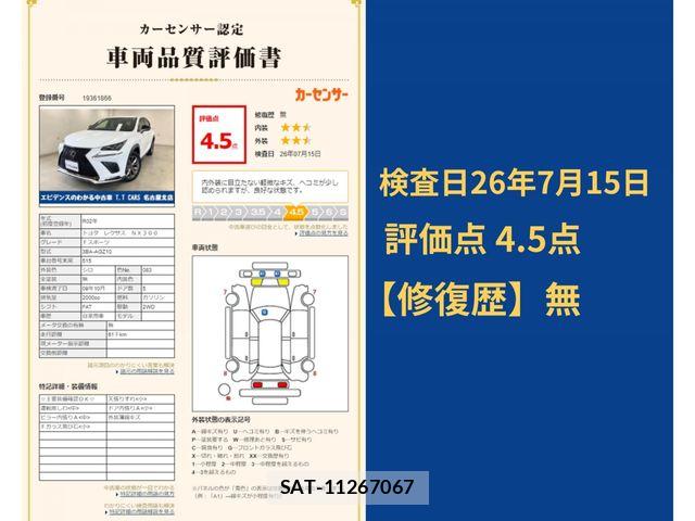 Lexus NX 2020-10 8100162-12