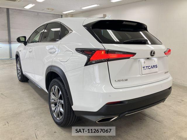 Lexus NX 2020-10 8100162-26
