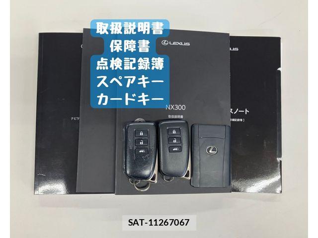 Lexus NX 2020-10 8100162-29