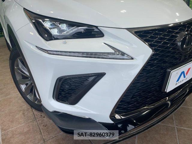 Lexus NX 2018-04 8100161-11