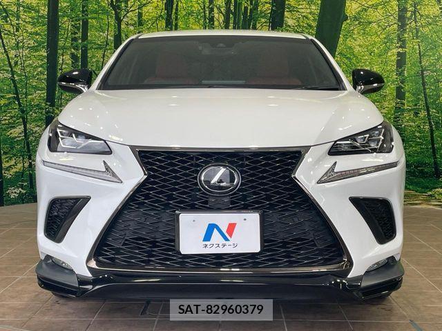 Lexus NX 2018-04 8100161-13