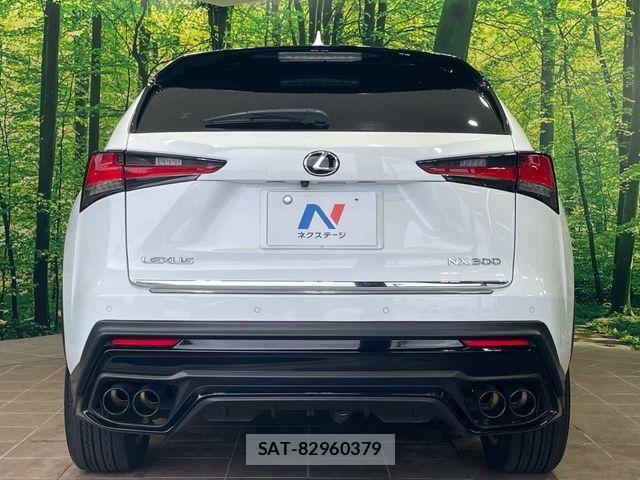 Lexus NX 2018-04 8100161-14