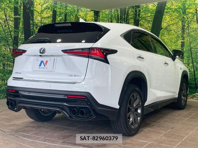 Lexus NX 2018-04 8100161-16