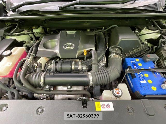 Lexus NX 2018-04 8100161-17
