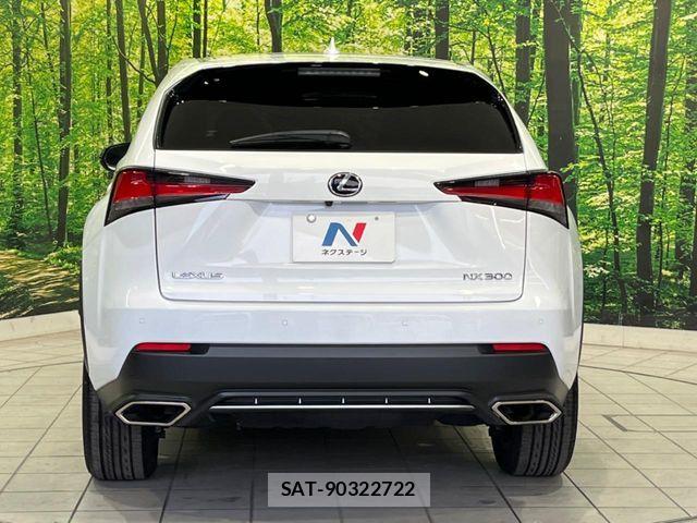 Lexus NX 2021-09 8131021-14