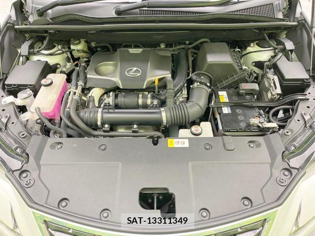 Lexus NX 2018-06 8146070-17