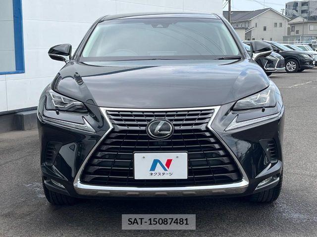Lexus NX 2018-04 8208405-13
