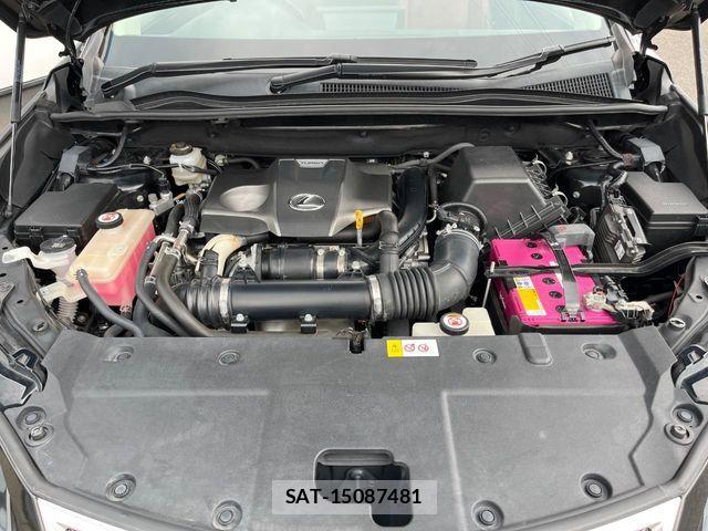 Lexus NX 2018-04 8208405-16