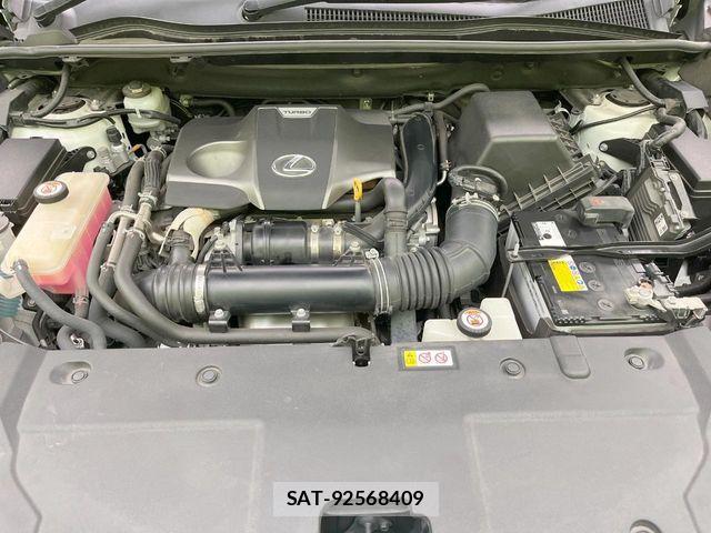 Lexus NX 2019-06 8208404-17
