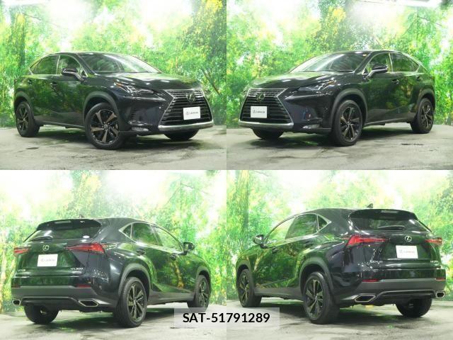 Lexus NX 2018-06 8208409-1