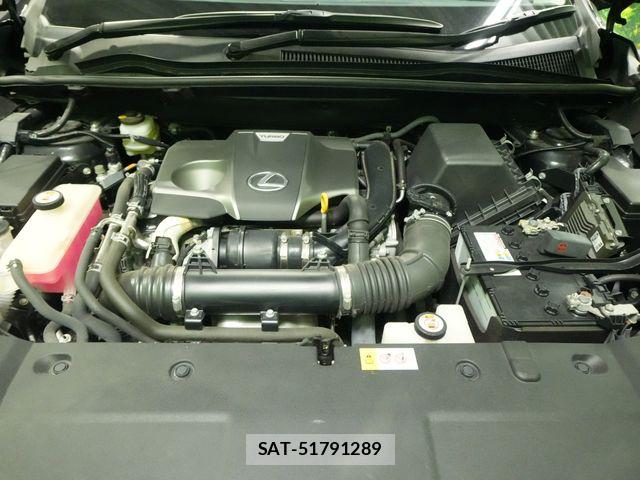 Lexus NX 2018-06 8208409-23
